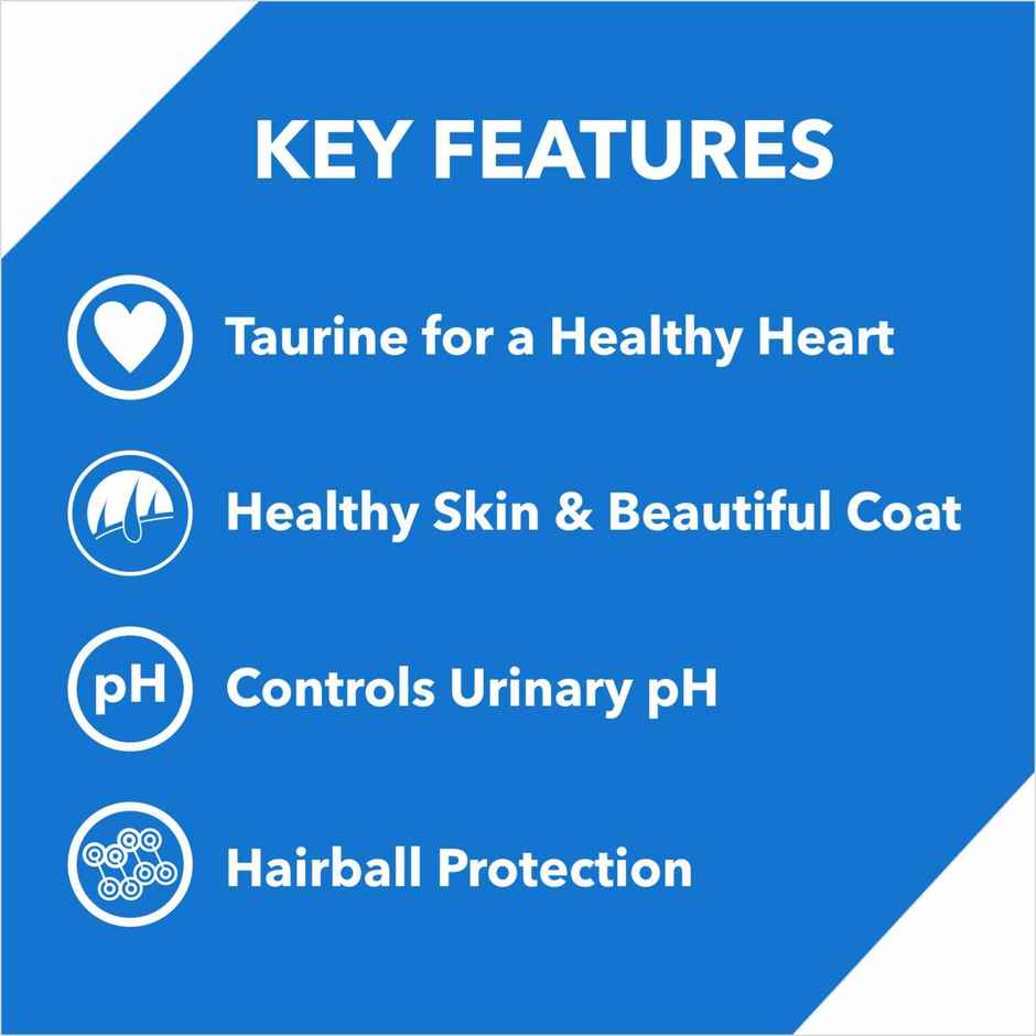 Drools Ocean Fish Adult Dry Cat Food