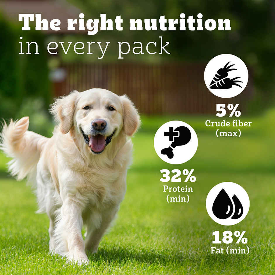 Pedigree PRO Mother & Pup Large Breed (3-12 Weeks) Dog Food