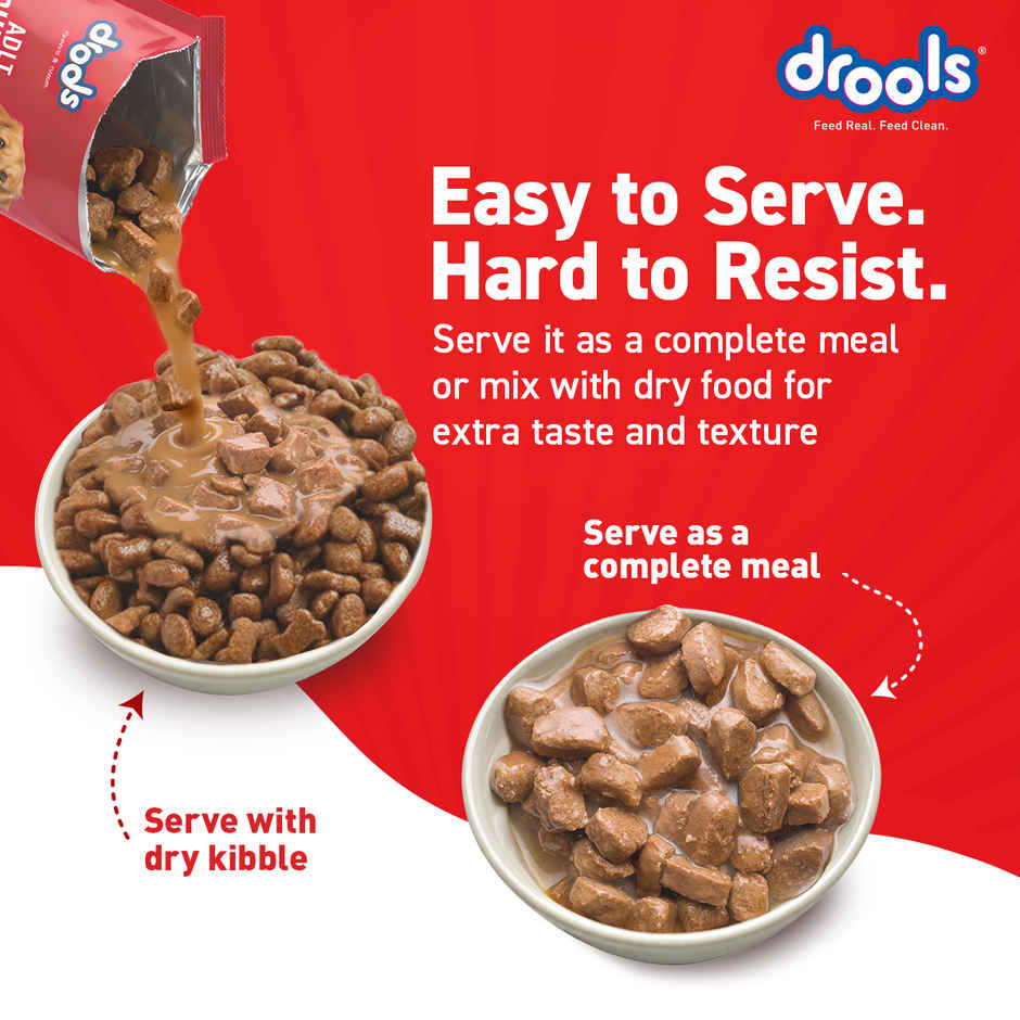Drools Adult Wet Dog Food - Real Chicken & Liver Chunks in Gravy