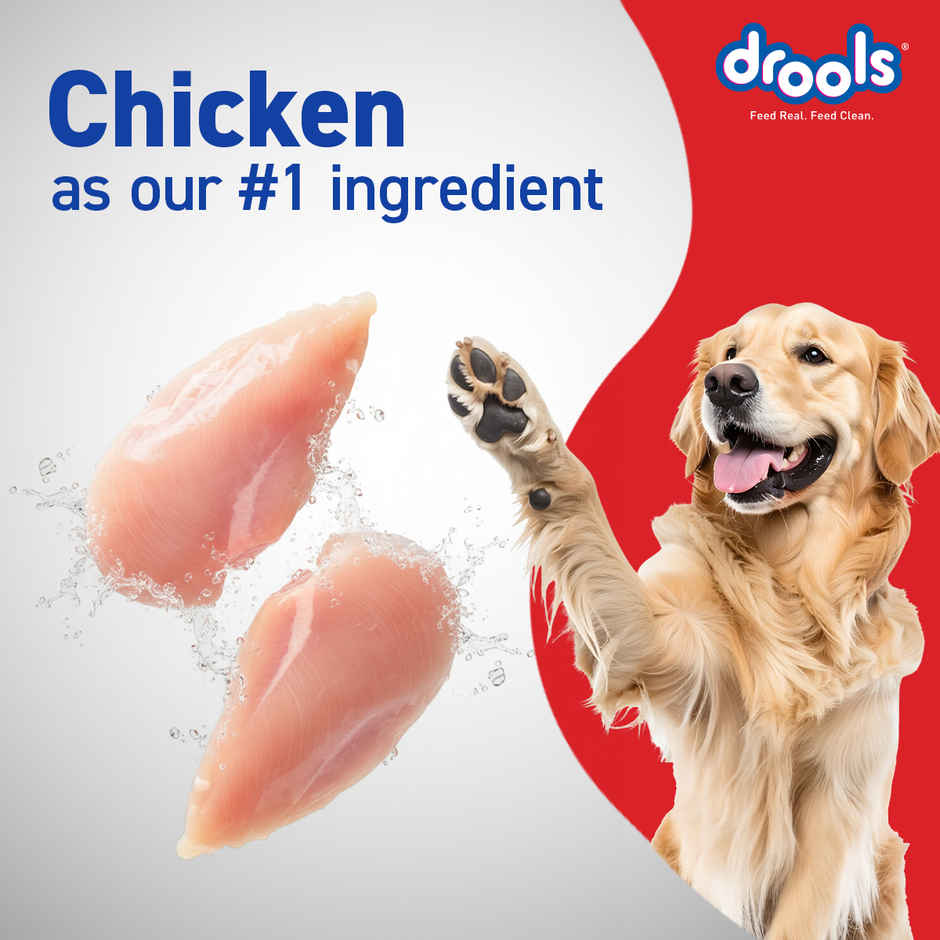 Drools Chicken and Egg Adult Dog Food, 3kg with Free 1.2kg 4.2Kg