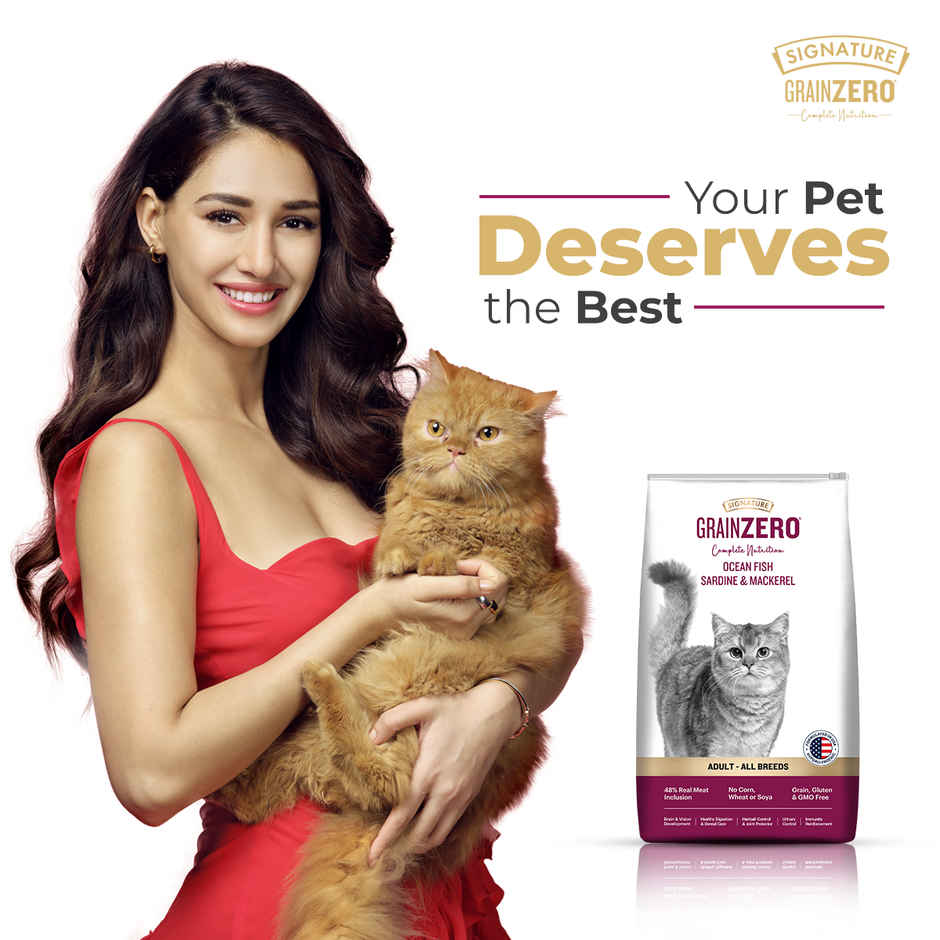 Signature Grain Zero Adult Dry Cat Food | Ocean Fish Sardines & Mackerel