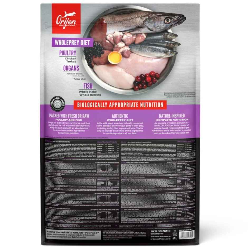 Orijen Large Breed Puppy FOOD
