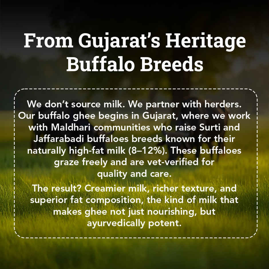 Anveshan Desi Buffalo Ghee