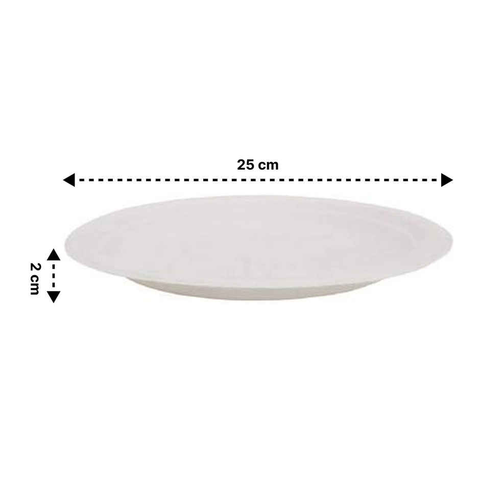 Bio-Degradable Bagasse Plates | 25 cm | Vinay Trading
