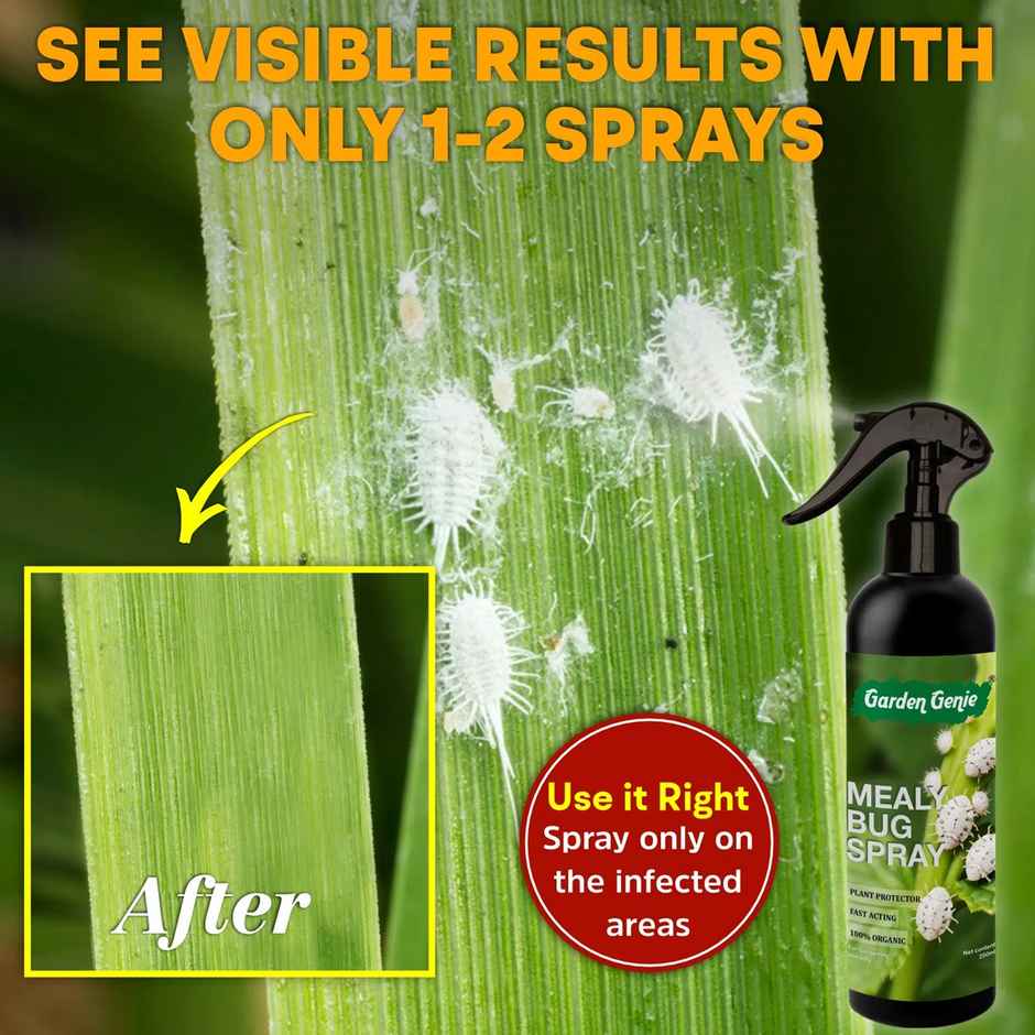 Garden Genie Mealy Bug Spray | Organic Pesticide Plant Spray for Mealy Bug on Plants