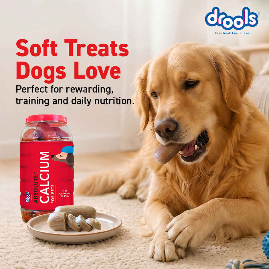 Drools Absolute Calcium Sausage Dog Supplement - Jar