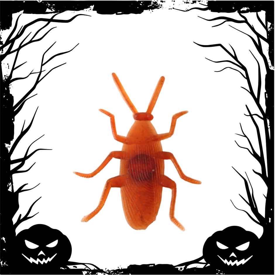Fake Cockroach | Pack Of 10 | Halloween Special | Festvista