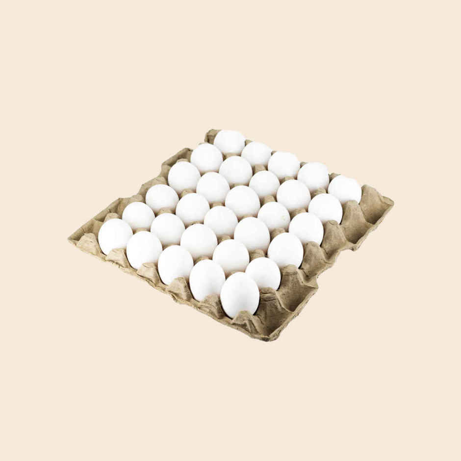 Suguna Delfrez White Eggs