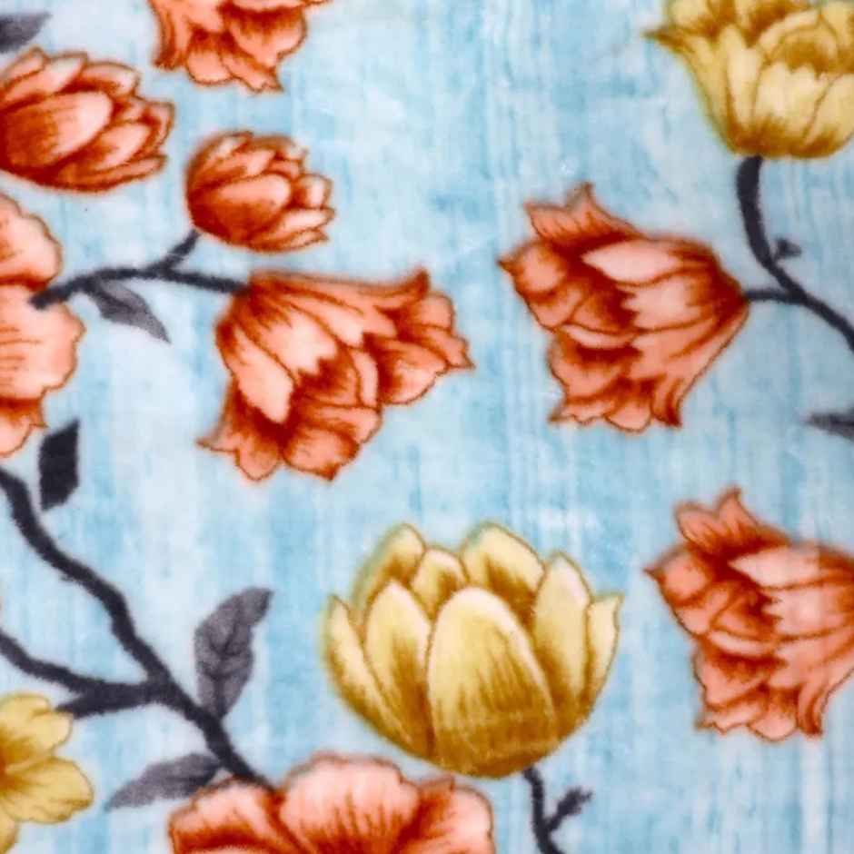 Signature 570 Gsm Polyester Sky Blue & Rose Heavy Winter Super Soft Single Bed Mink Blanket