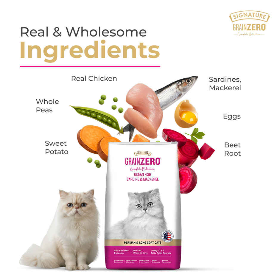 Signature Grain Zero Persian Dry Cat Food | Ocean Fish Sardines & Mackerel
