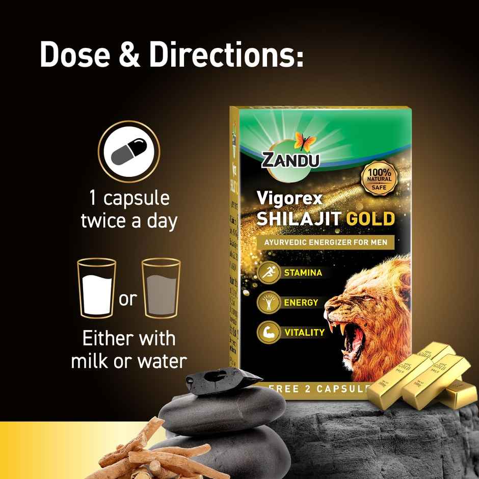 Zandu Vigorex Shilajit Gold Capsule