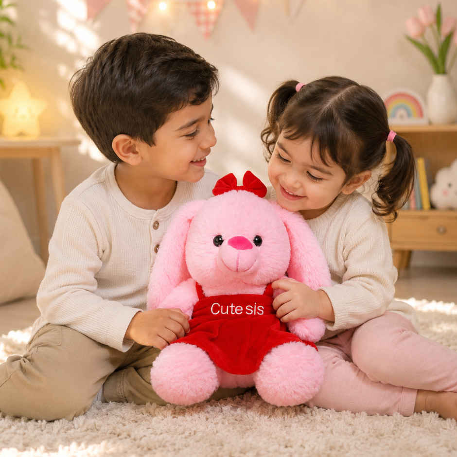 Toytales Pink Bunny Decorative Soft Toy | Sweet Sister Gift Plush Toy | Birthday & Special Occasion Gift