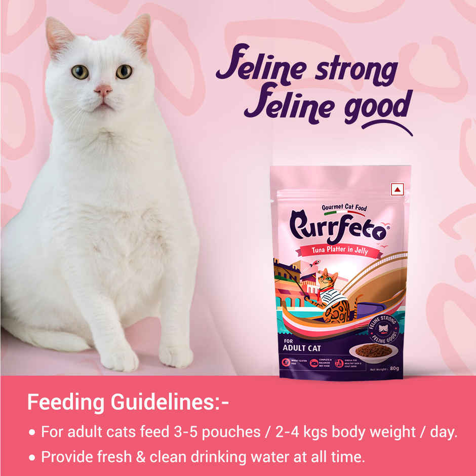 Purrfeto Wet Cat Food Tuna Recipe in Jelly | Pack of 12