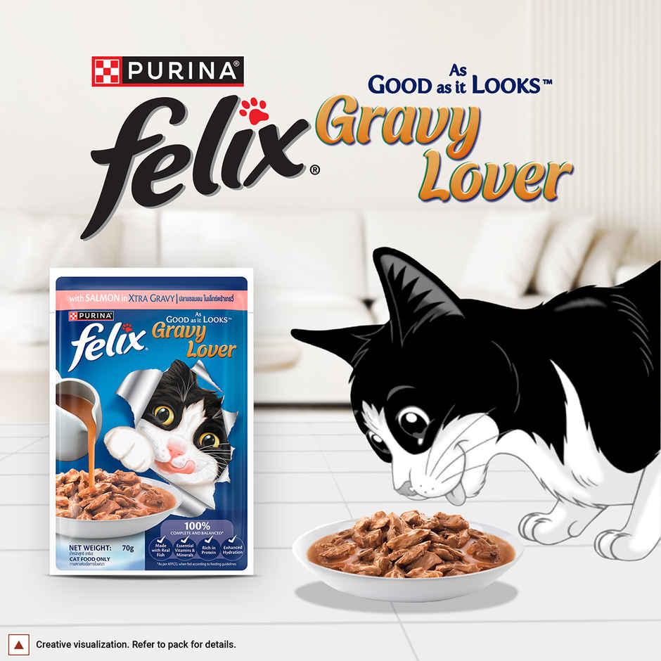 Purina Felix Gravy Lover, Meaty Salmon Chunks