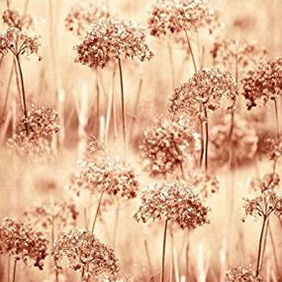 Lushomes Blackout Door Curtain - Jungle Printed | 8 Metal Eyelets | 54 x 108 inch