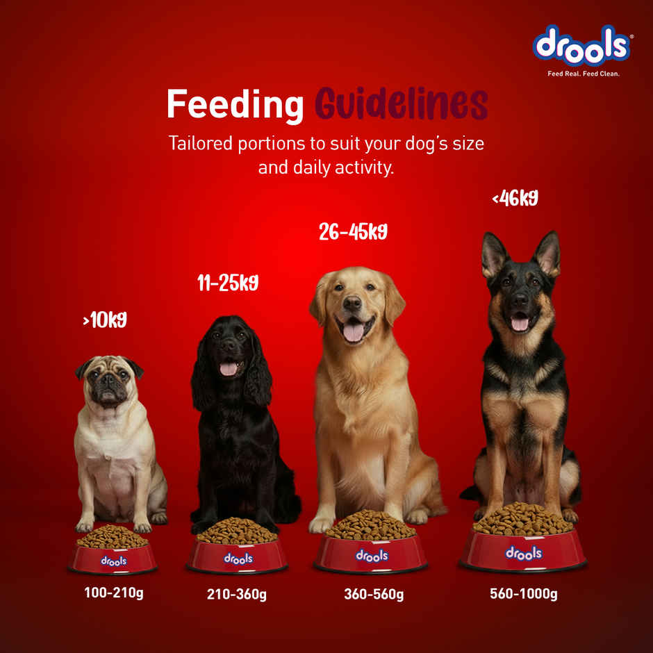 Drools Lamb and Rice Adult Dry Dog Food 1 kg