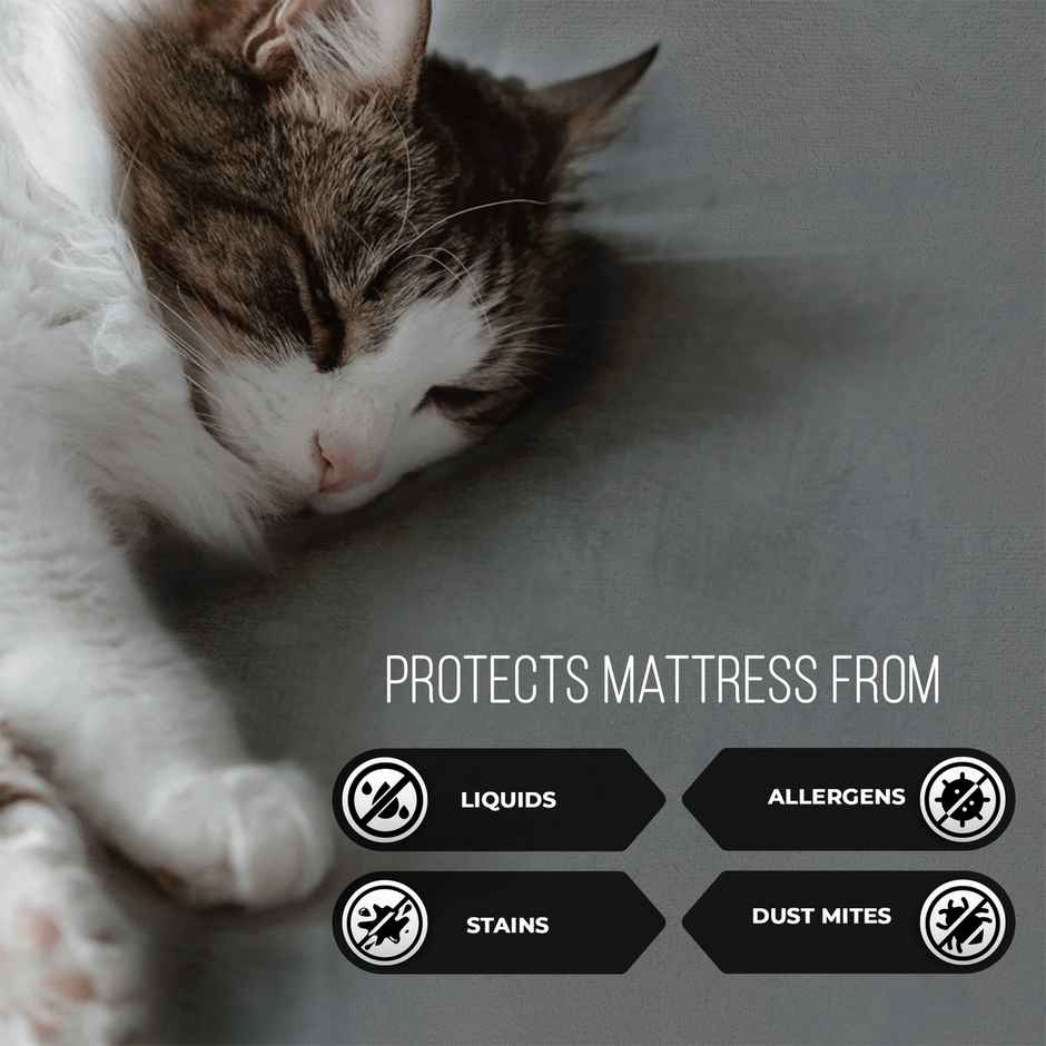 Story@Home Terry 100% Waterproof and Dustproof Single Size Mattress Protector Gray | 78 x 36 Inch