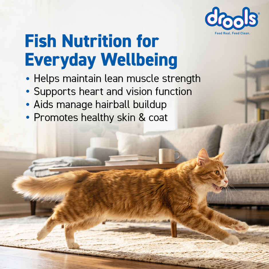 Drools Tuna & Salmon Adult Dry Cat Food