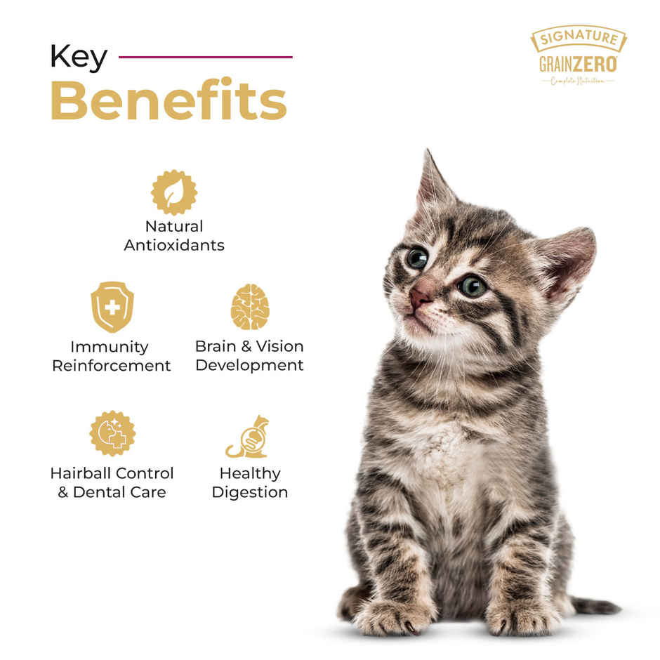 Signature Grain Zero Mother and Kitten Dry Cat Food | Ocean Fish Sardines & Mackerel