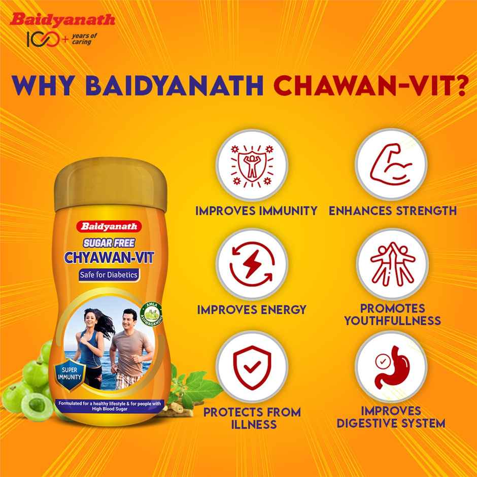 Baidyanath Sugarfree Chyawan Vit