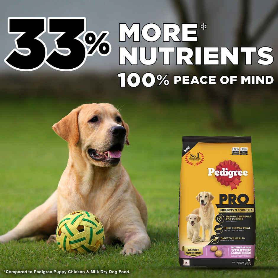 Pedigree PRO Mother & Pup Large Breed (3-12 Weeks) Dog Food