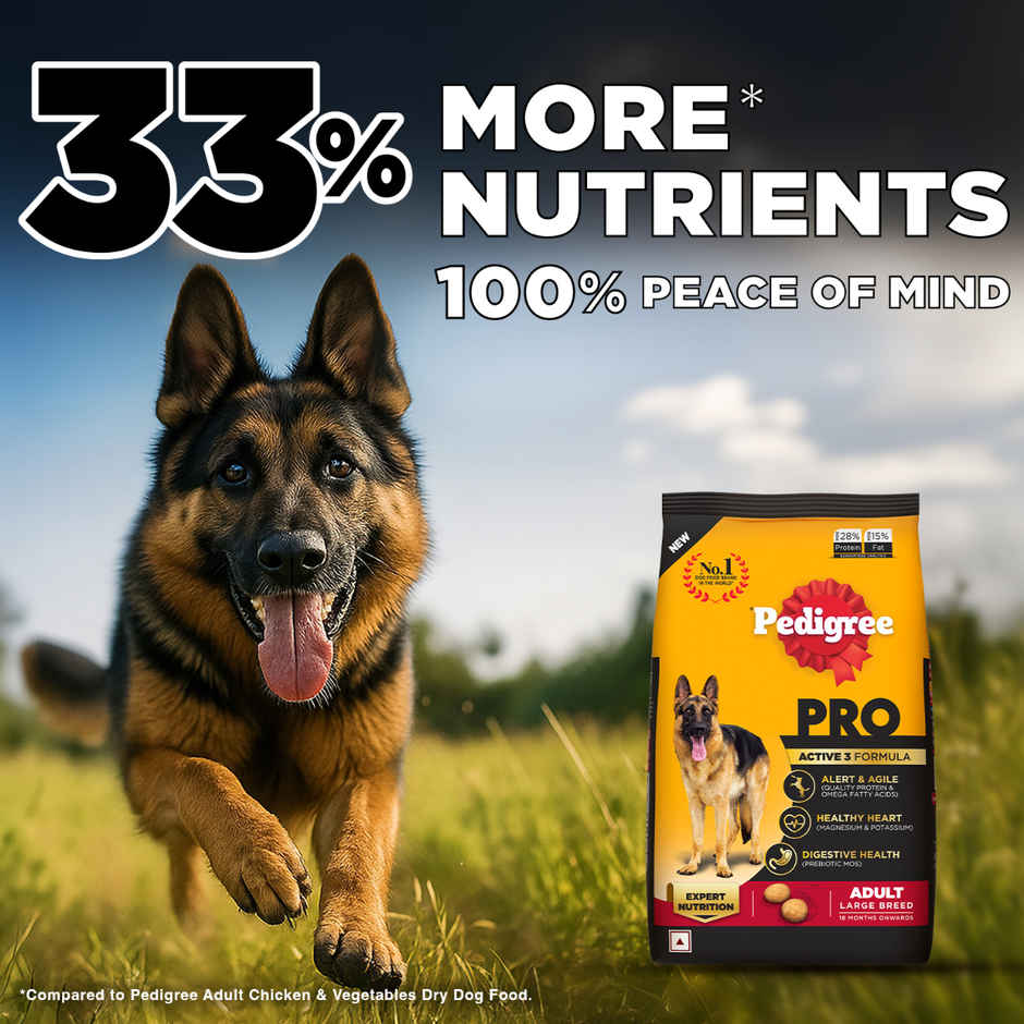 Pedigree PRO Adult Large Breed (18 Months+) Dog Food
