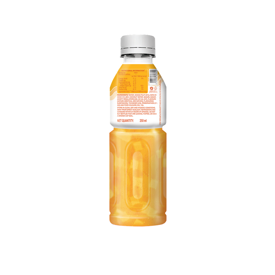 Paper Boat Mango | Juicy Sips, Chewy Bites | Refreshing Summer Juice Drink Combo