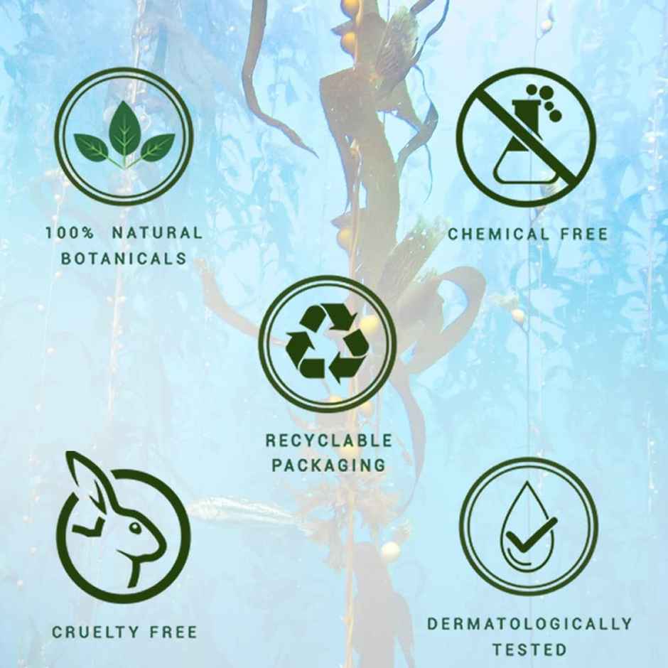 Biotique Ocean Kelp Anti Hair Fall Shampoo