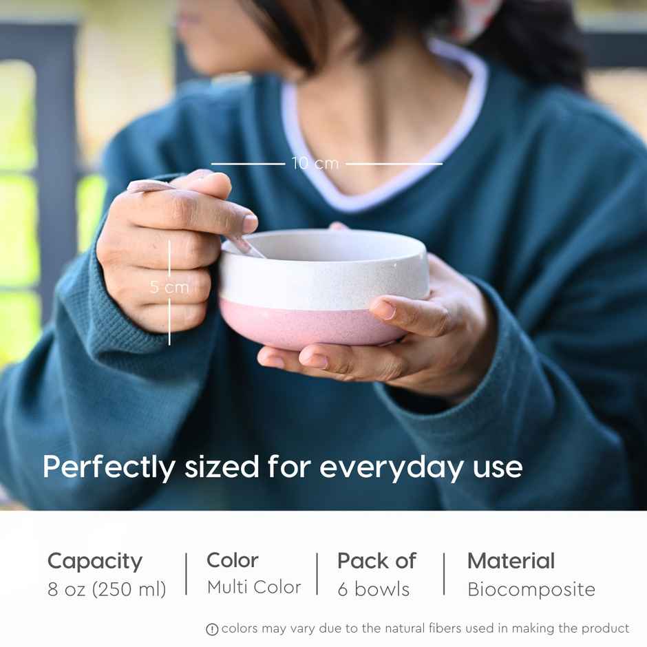 Eha Soup Bowls & Spoons | 250 ml | Set Of 6 - Multi Color