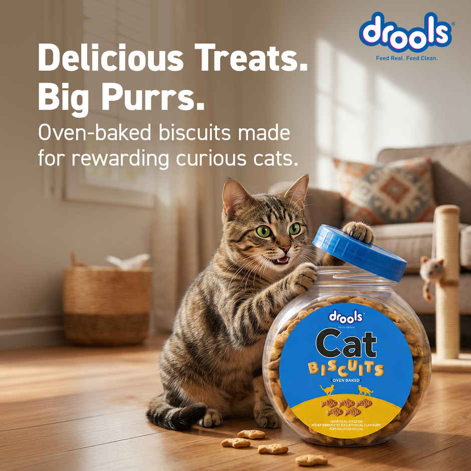 Drools Cat Biscuits Oven Baked Jar