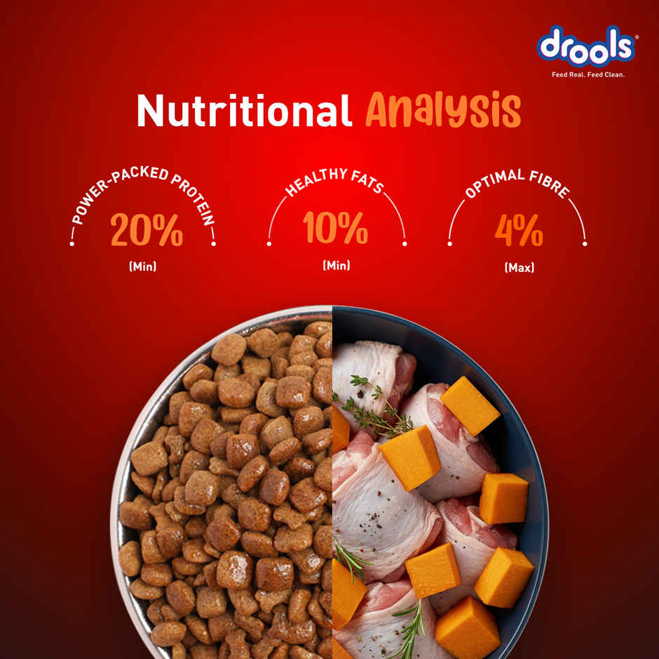 Drools Turkey and Pumpkin Adult Dry Dog Food 1 kg