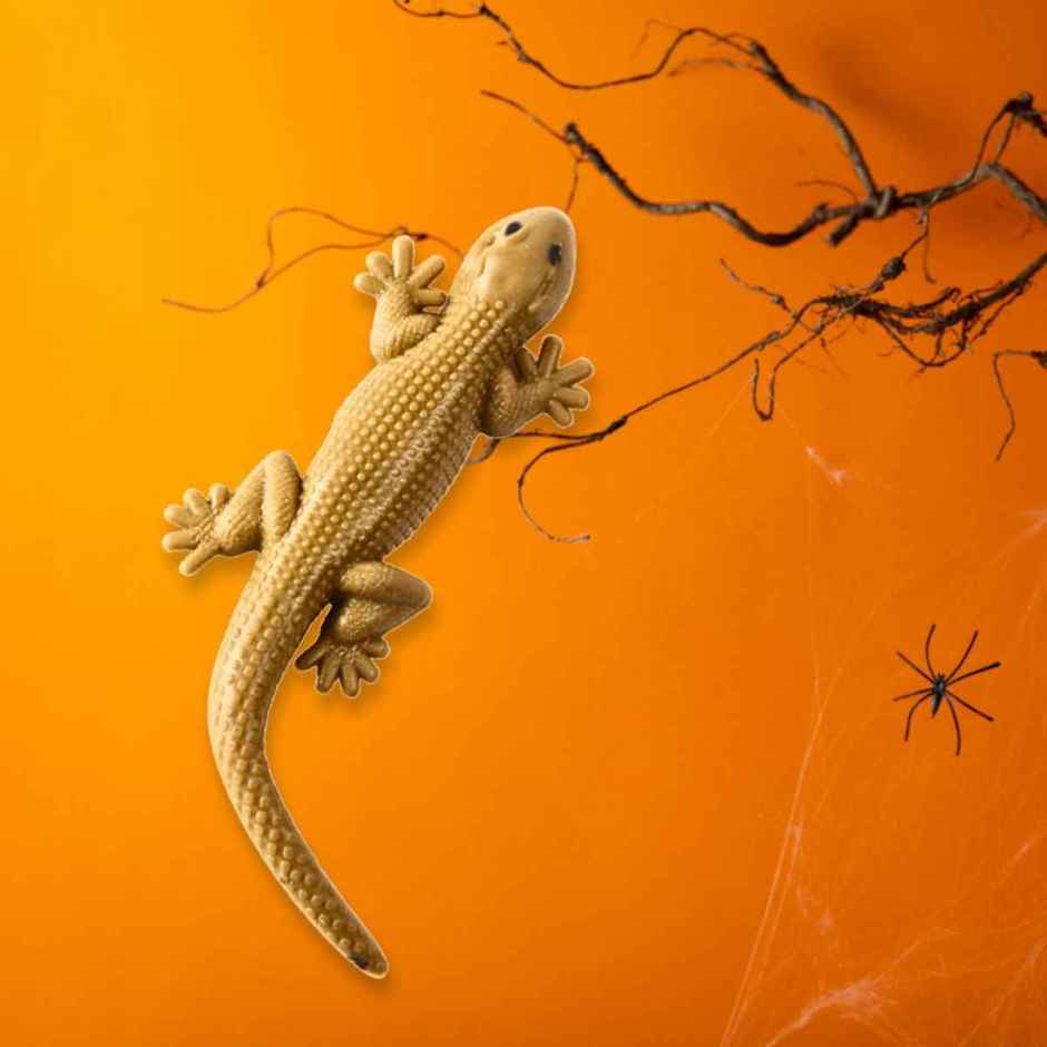 Fake Lizard | Pack Of 5 | Halloween Special | Festvista