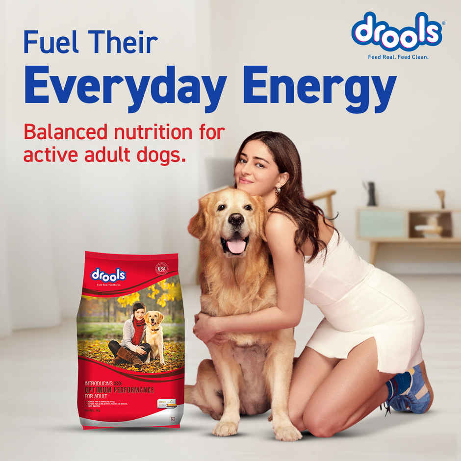 Drools Optimum Performance Adult Dog Food