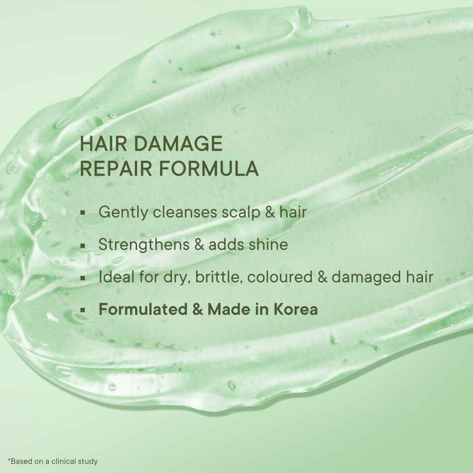 Quench Anti Dandruff Hair Shampoo With Tea Tree Extracts (Made In Korea)