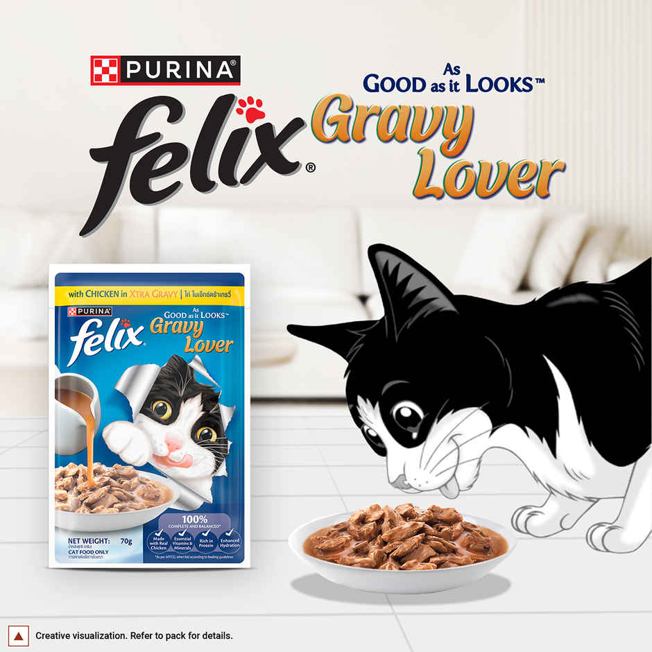Purina Felix Gravy Lover, Meaty Chicken Chunks