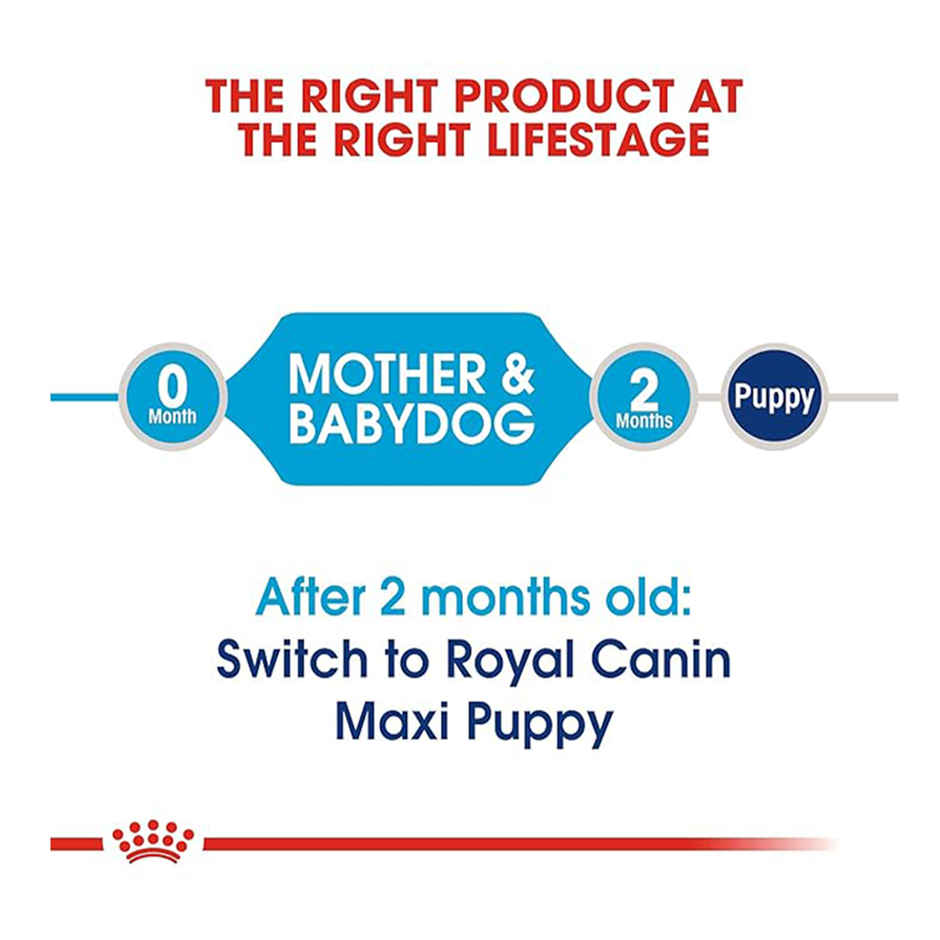 Royal Canin Maxi Starter Dry Food 220g