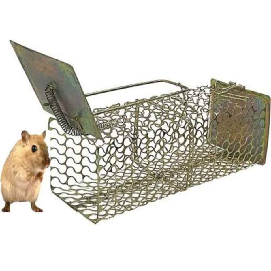 Jags Rat Cage