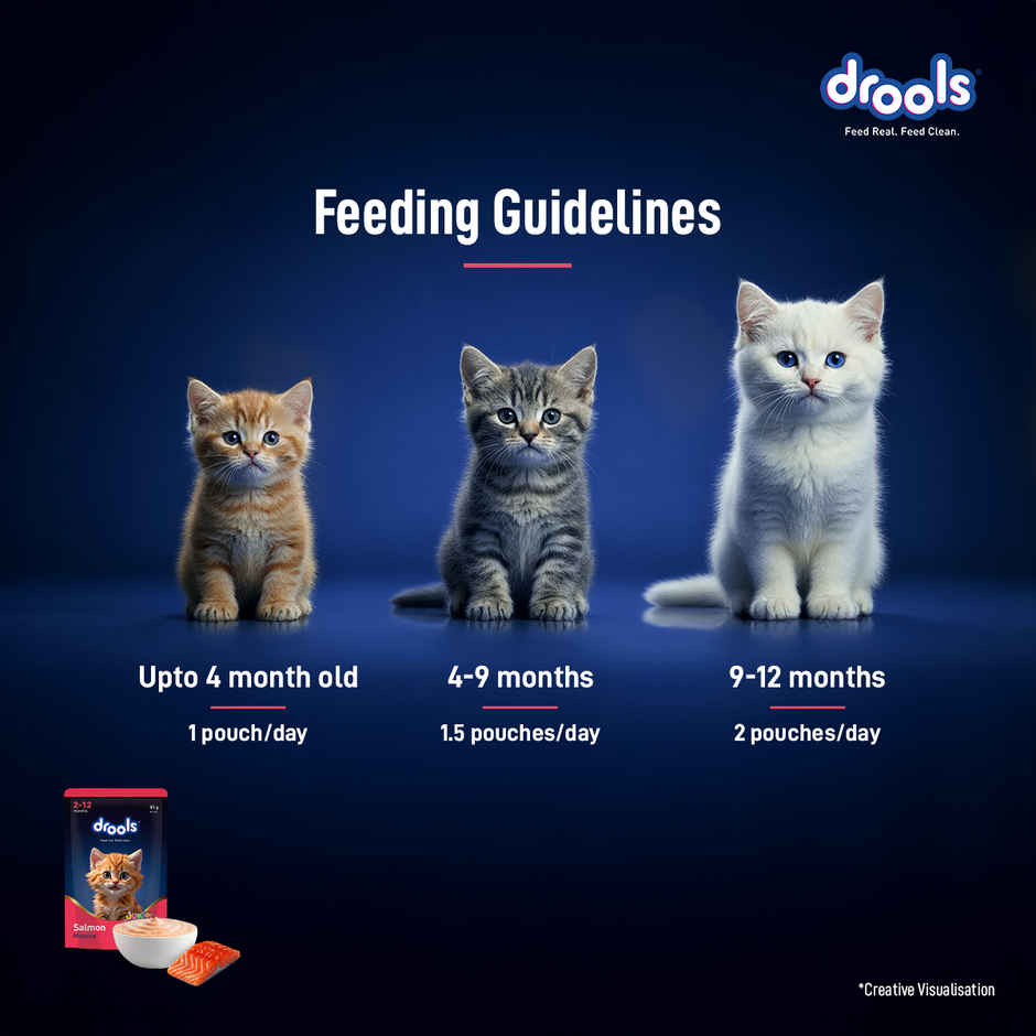 Drools Salmon Mousse Kitten Wet Cat Food, 80g (4+1 Pack Free)