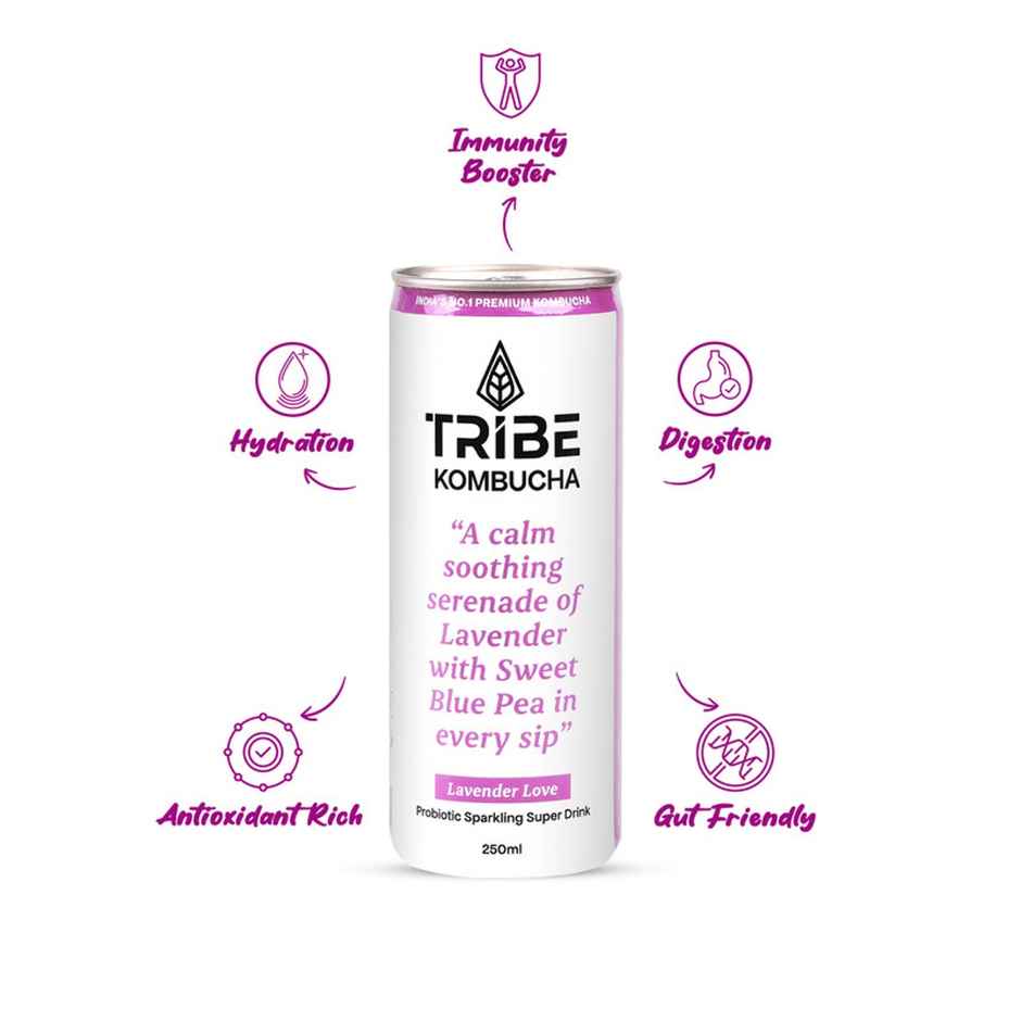 Tribe Kombucha Lavender Naturally Sparkling Probiotic Super Drink | Gut Friendly