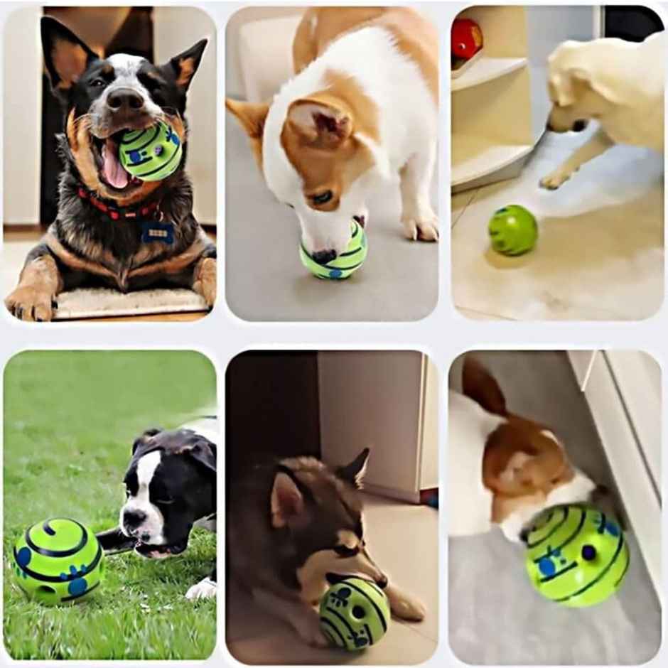 Foodie Puppies Giggle Squeaky Ball | Large