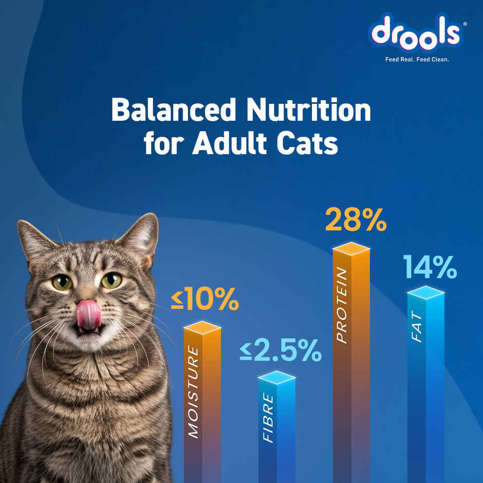 Drools Ocean Fish Adult  Dry Cat Food