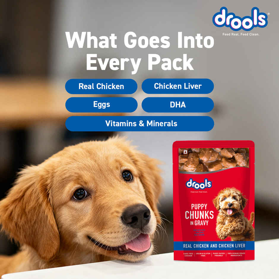 Drools Puppy Wet Dog Food - Real Chicken And Chicken Liver Chunks In Gravy