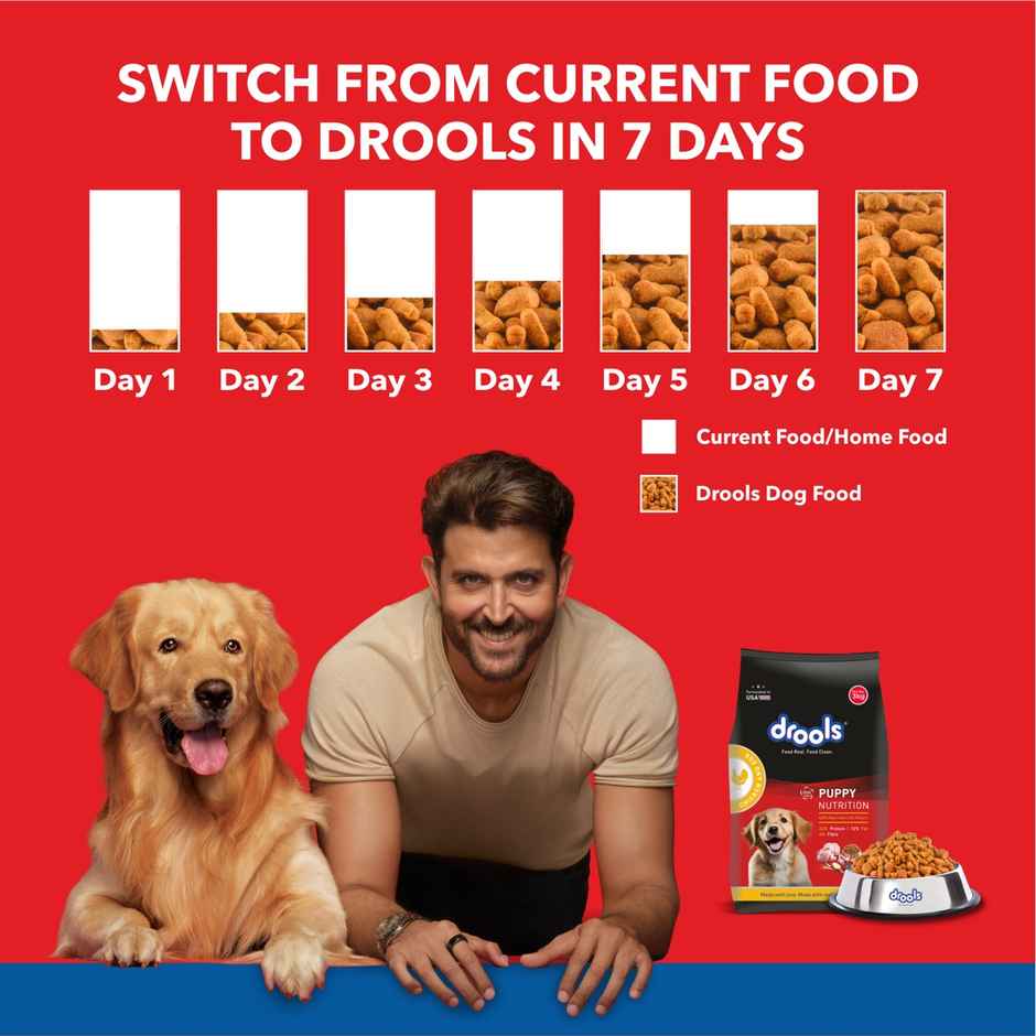 Drools Puppy Chicken And Egg Dry Dog FOOD