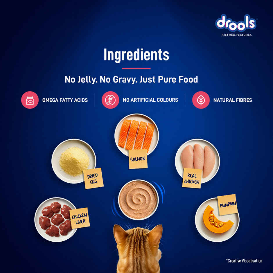 Drools Salmon Mousse Adult Cat Wet Food