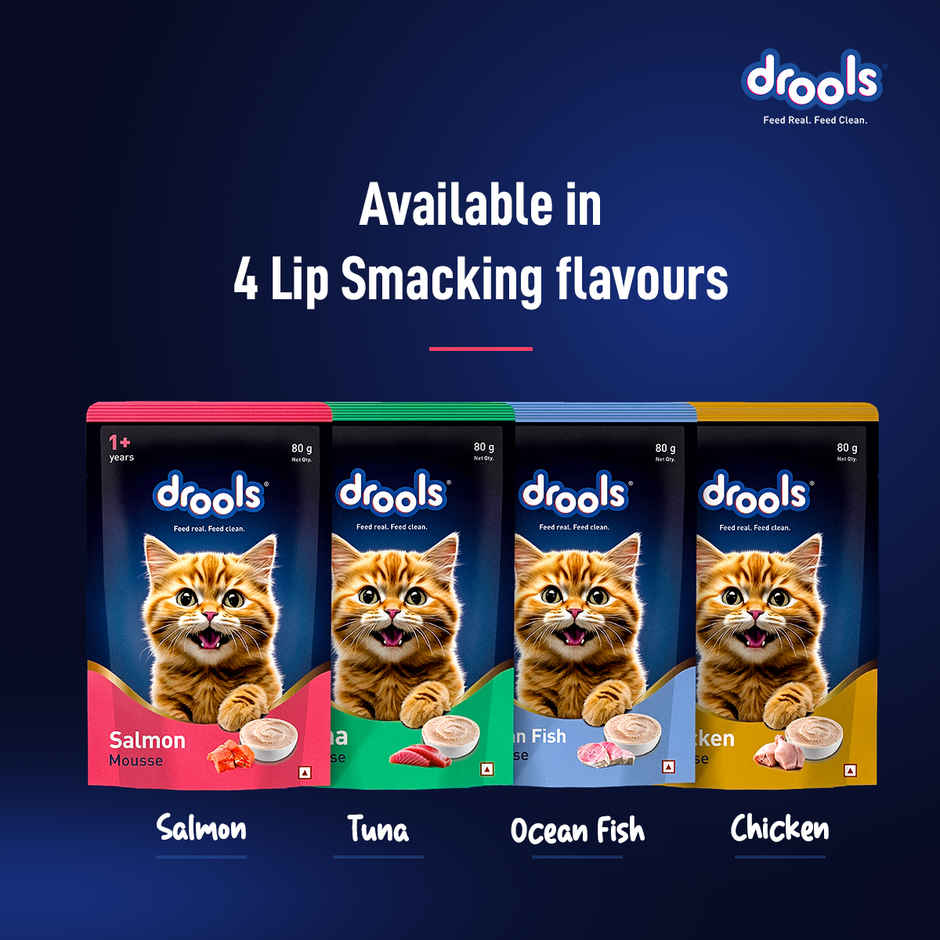 Drools Salmon Mousse Adult Cat Wet Food