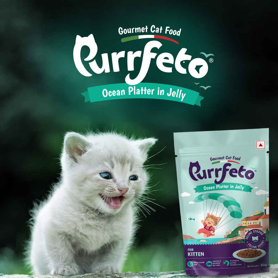 Purrfeto Wet Cat food Oceanfish recipe in Jelly | Kittens