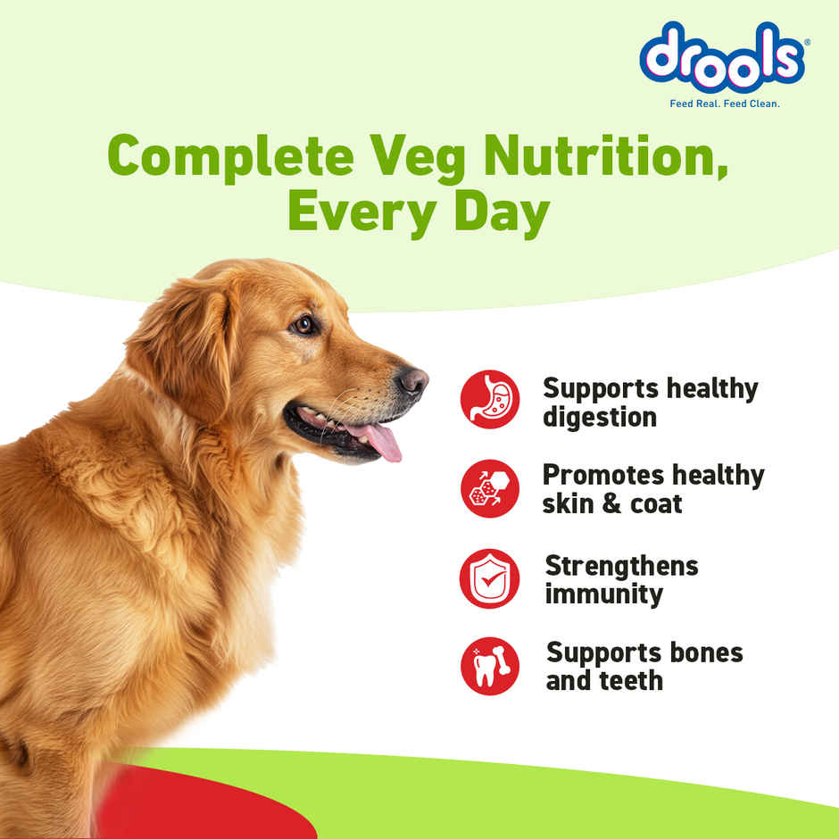 Drools Veg Dry Dog Food, For Puppies & Adults