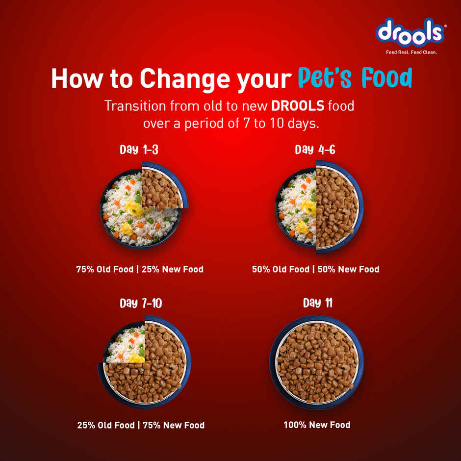 Drools Fish and Rice Adult Dry Dog Food 2.8 kg with Free 1 kg
