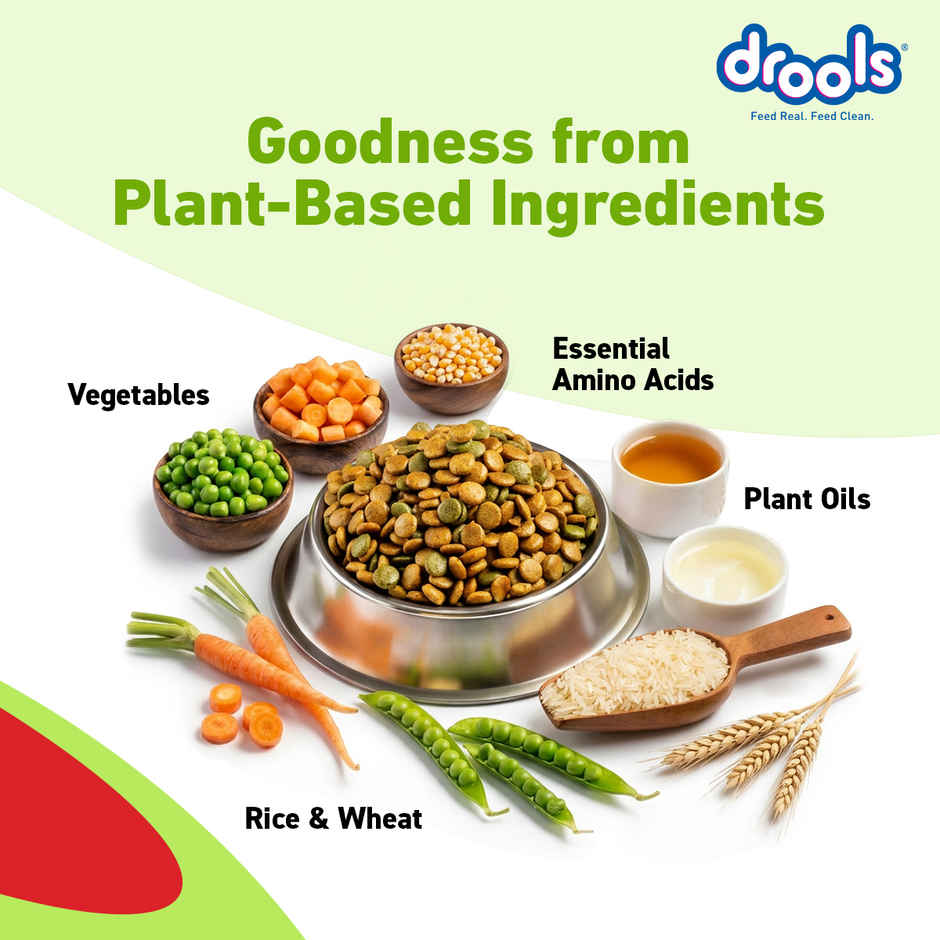 Drools Veg Dry Dog Food, For Puppies & Adults