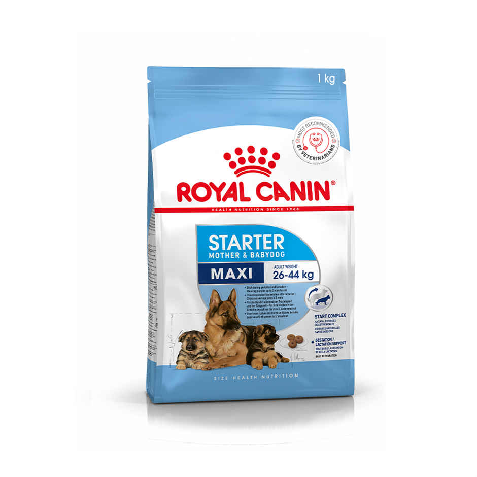 Royal Canin Maxi Starter Dry Food 1Kg